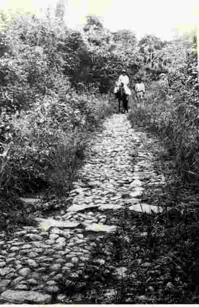 Camino Cruces in Panama