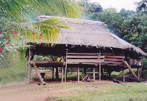 Naso Indian House of Northern Panama 